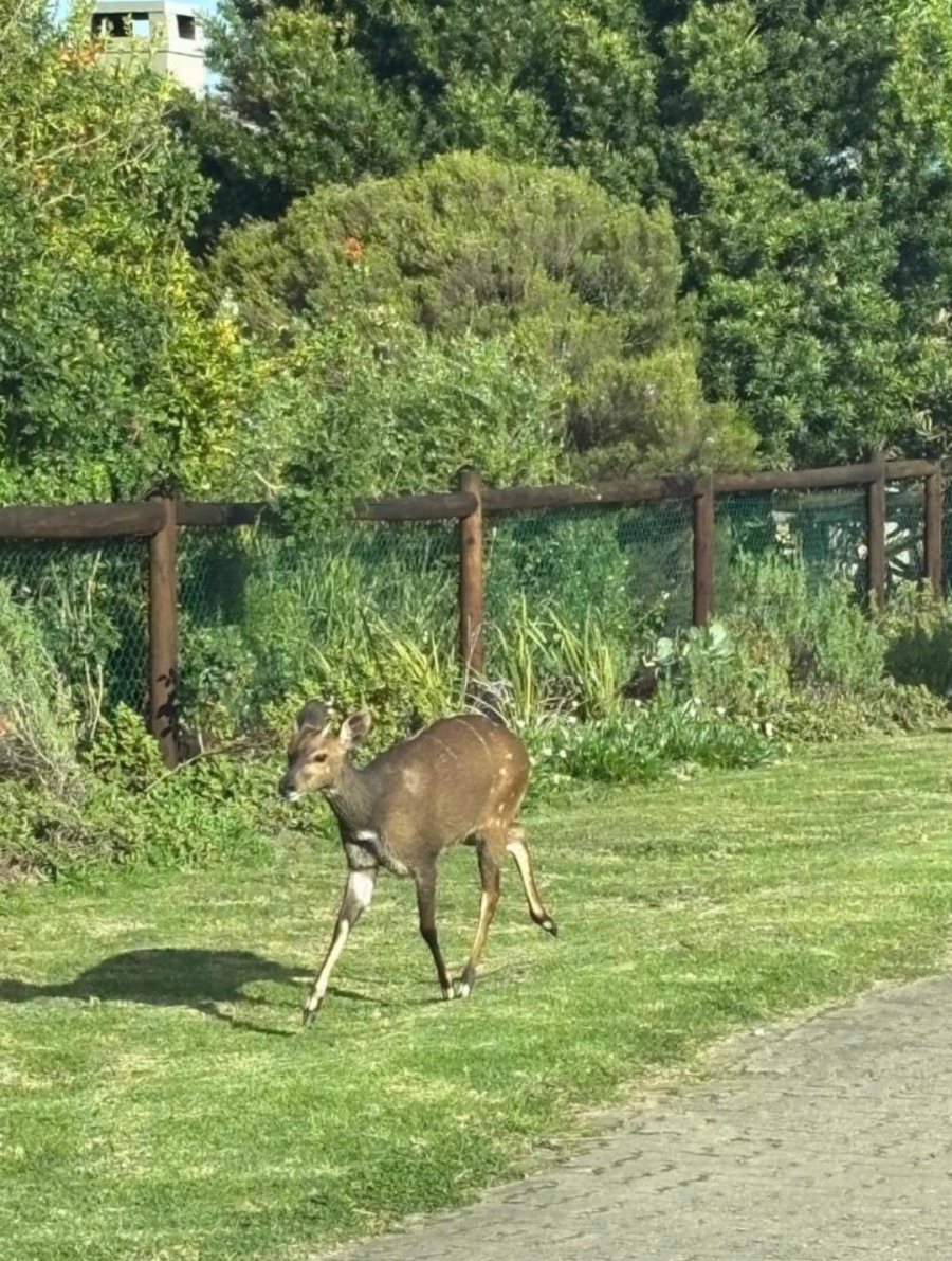 3 Bedroom Property for Sale in Ballots Bay Western Cape